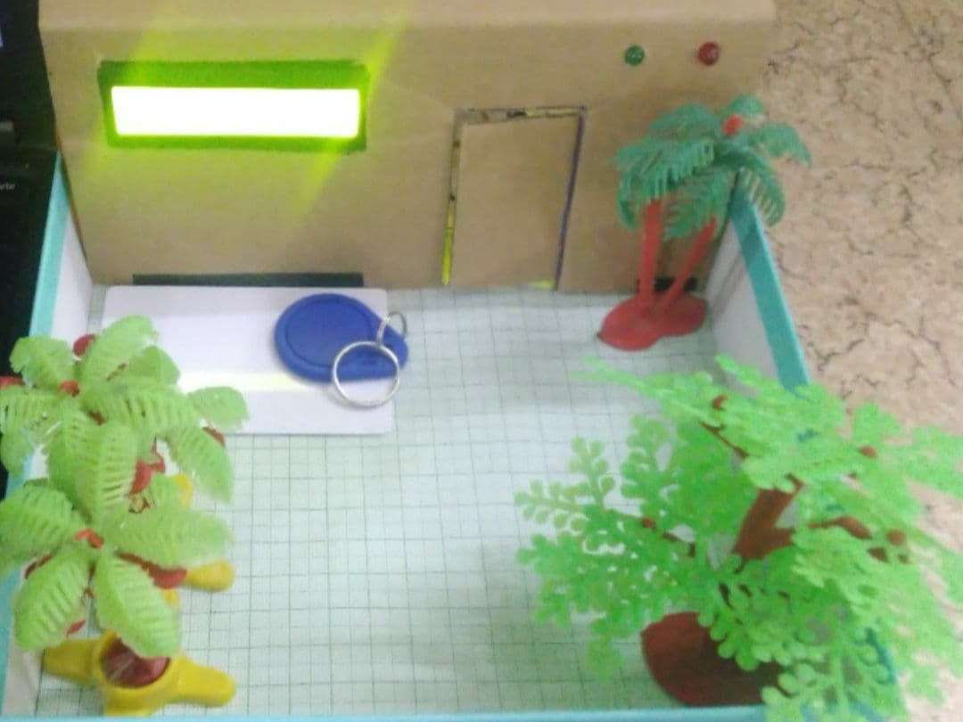 display image